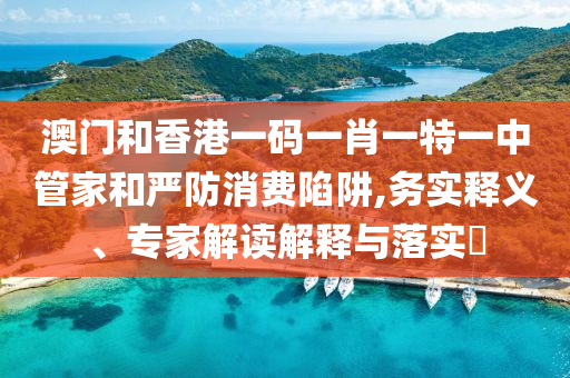 澳門(mén)和香港一碼一肖一特一中管家和嚴(yán)防消費(fèi)陷阱,務(wù)實(shí)釋義、專家解讀解釋與落實(shí)?